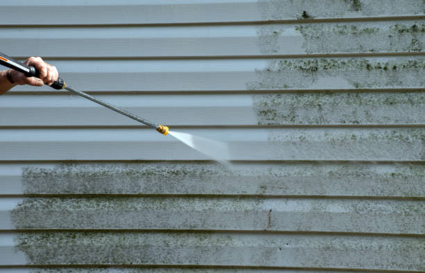 Professional Pressure Washing Services in Ocoee, FL